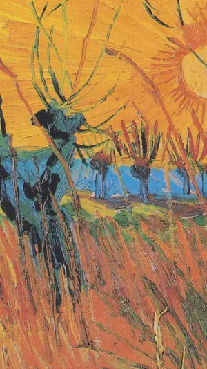 Pollard Willows and Setting Sun wallpaper