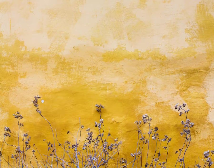 Flowers, Yellow Texture Flowers Minimalist
